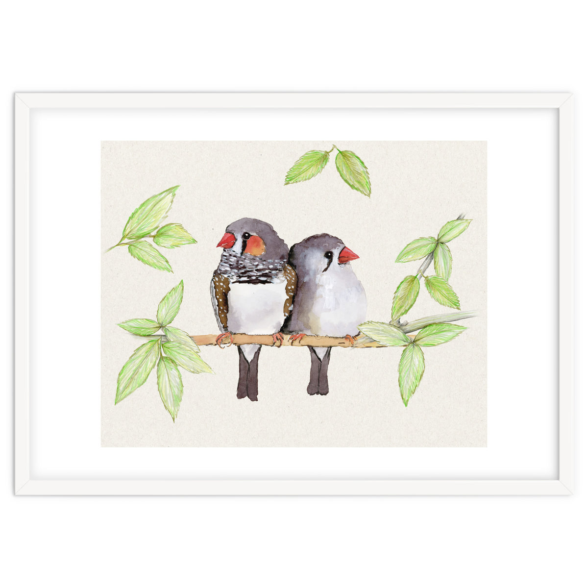 Sweet couple of zebra finches