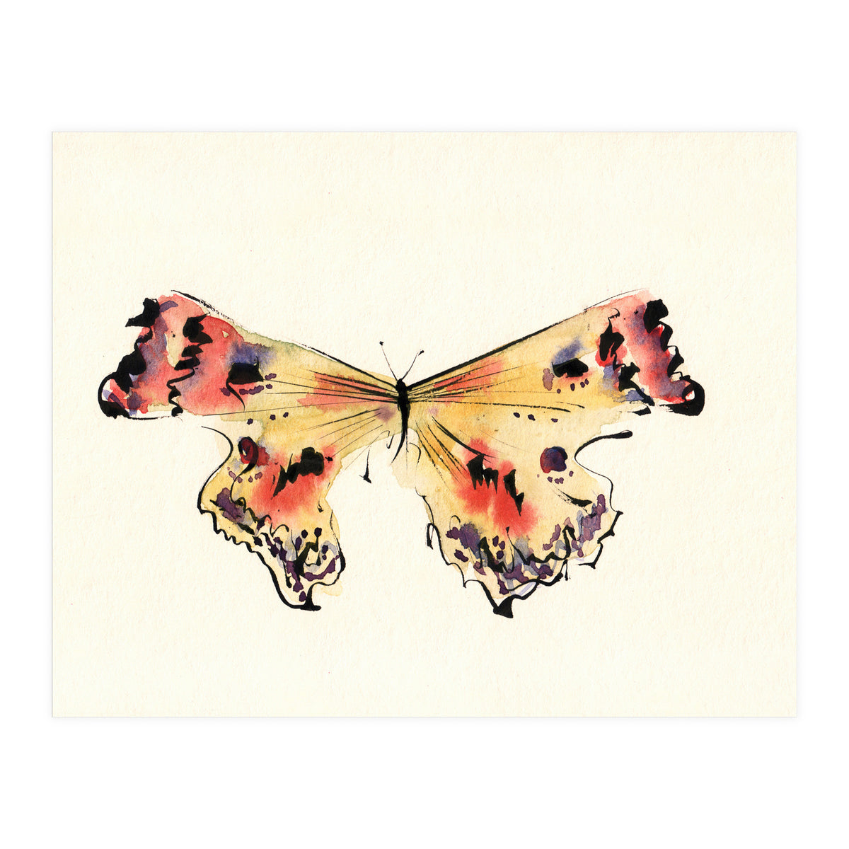 Teacher (Print Only)