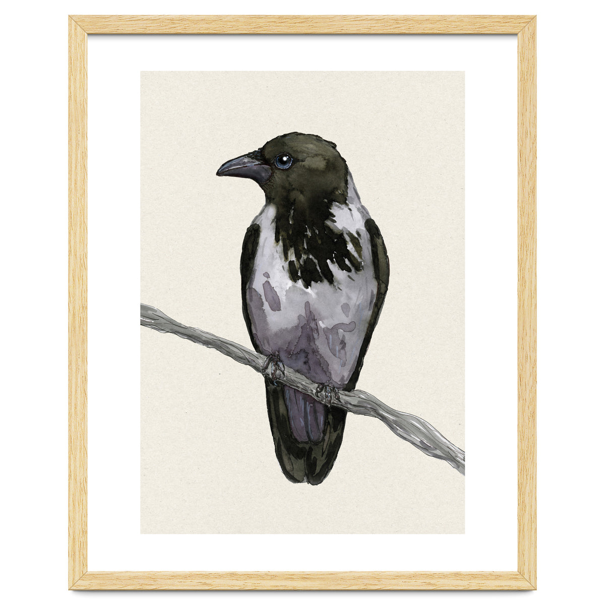 Hooded crow watercolor