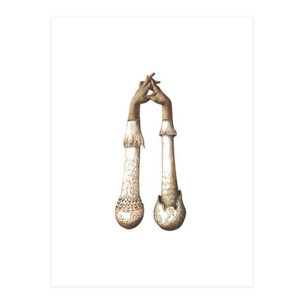 Handshrooms (Print Only)