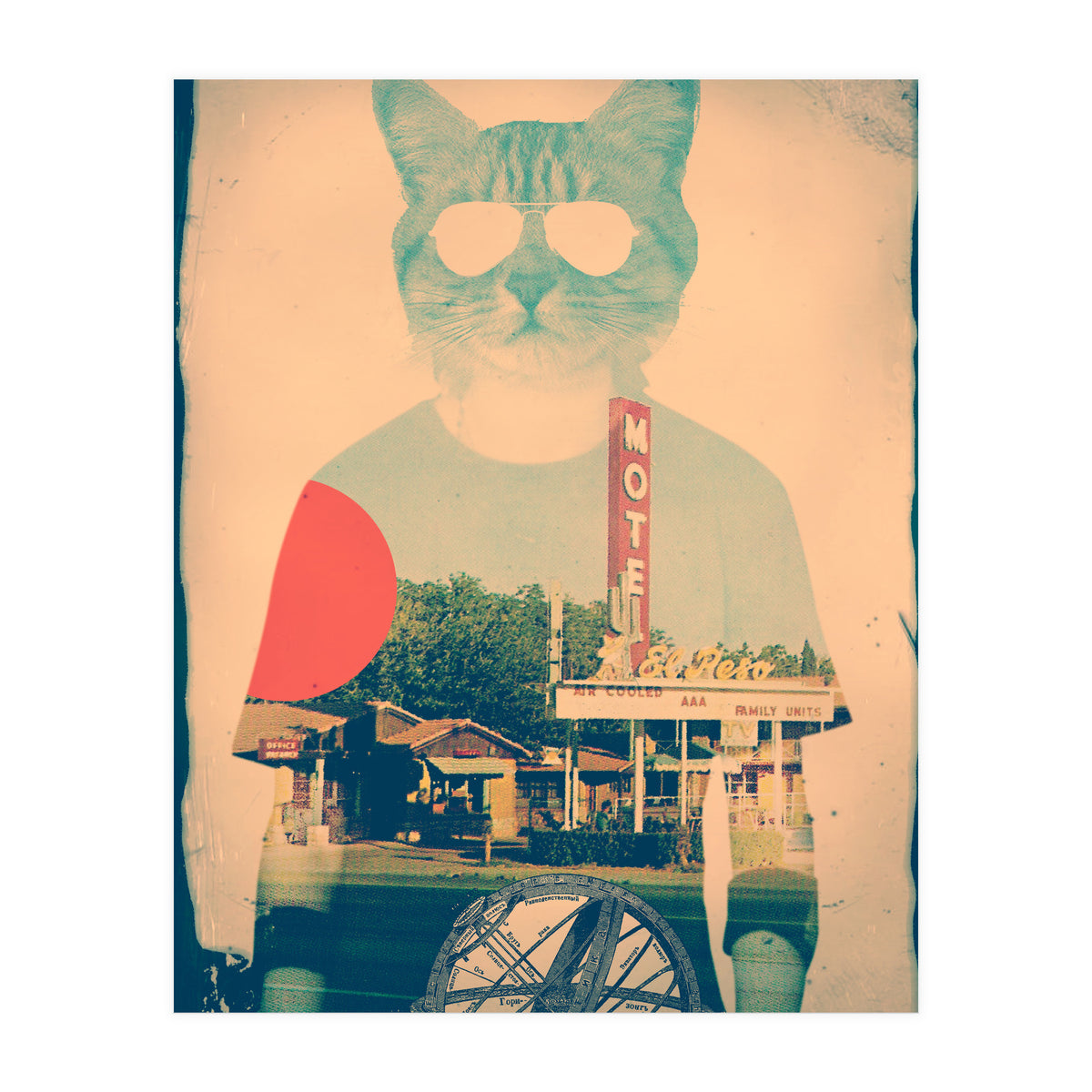 Cool Cat (Print Only)