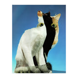 KatzenJammer 13 (Print Only) thumbnail