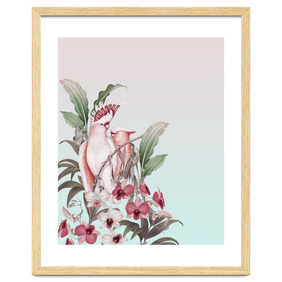 Pastel Cockatoos Paradise