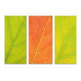 Autumn Leaves (Print Only) thumbnail