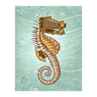 Hippocampus Camerarum (Print Only)