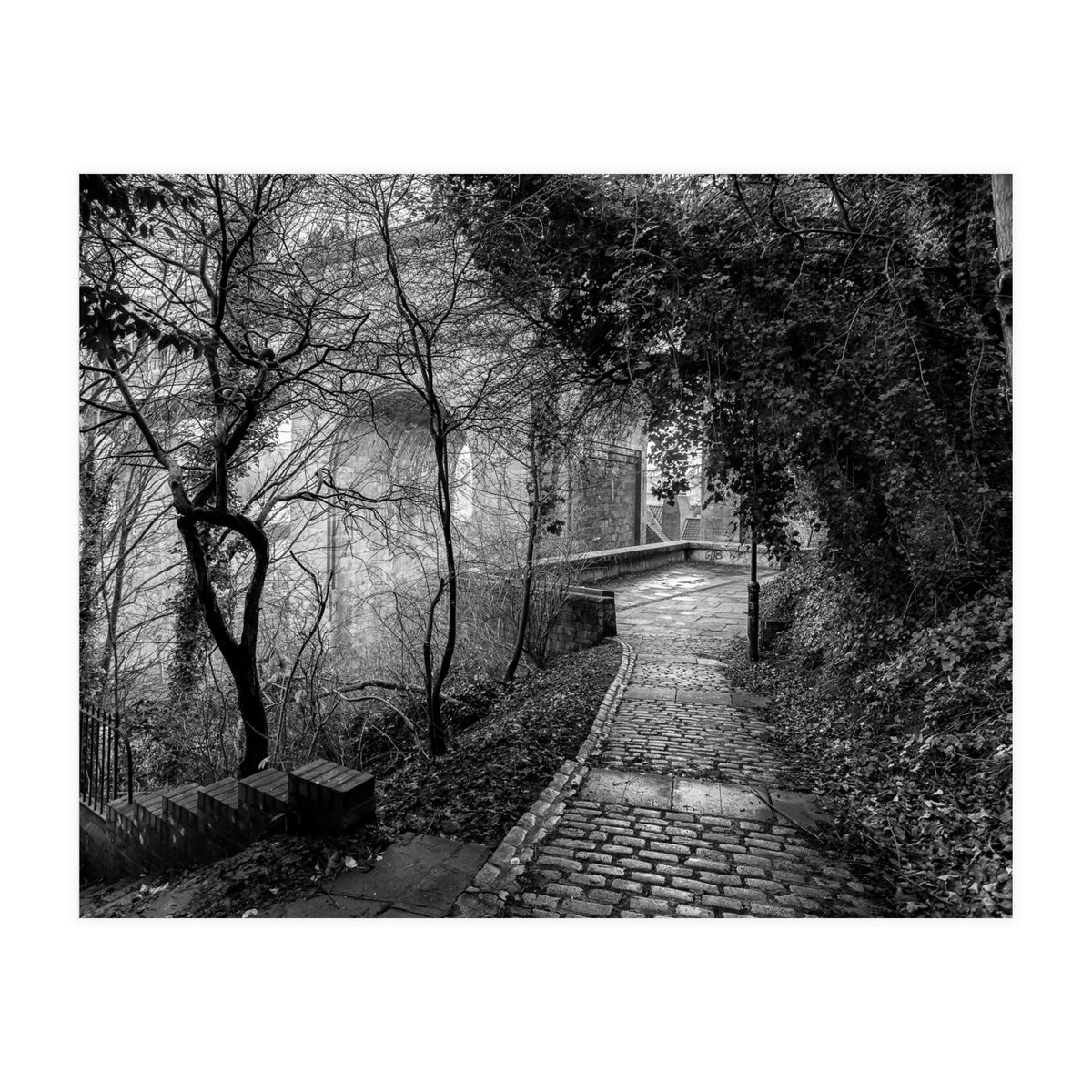 Monochrome path (Print Only)