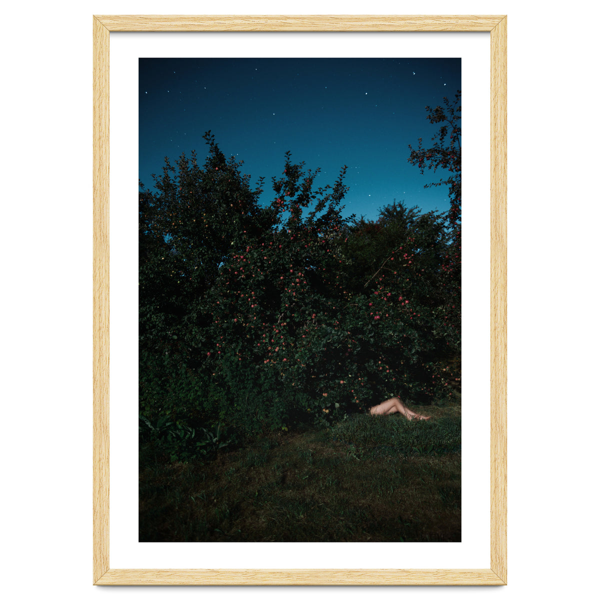 The Cider House Legs