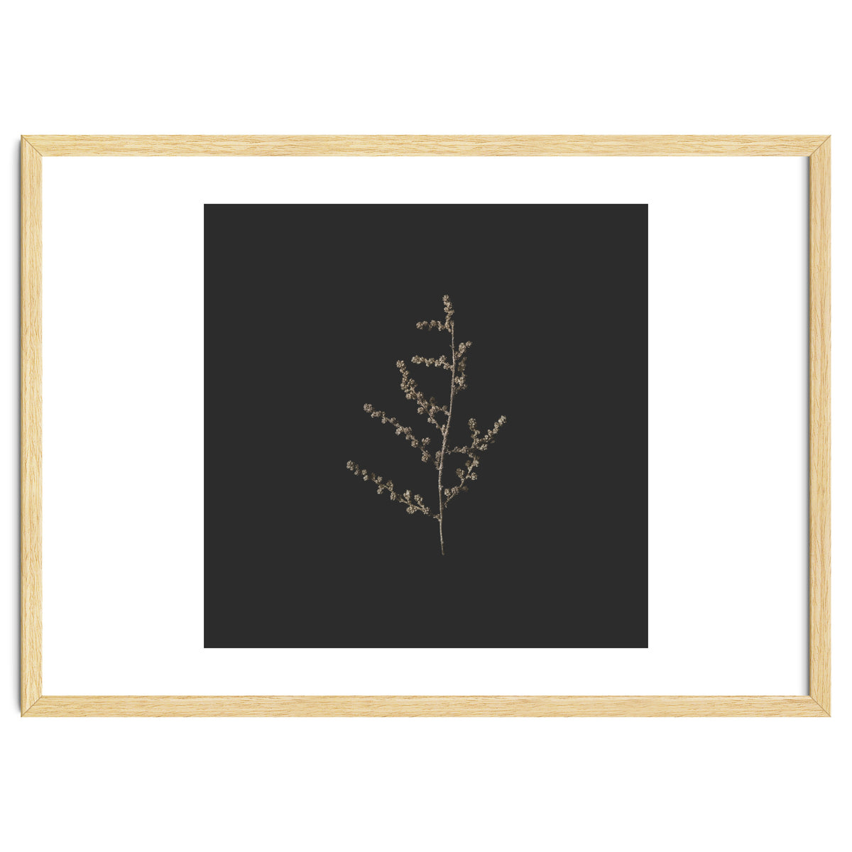 Dainty Botanicals in Gold and Black - Square