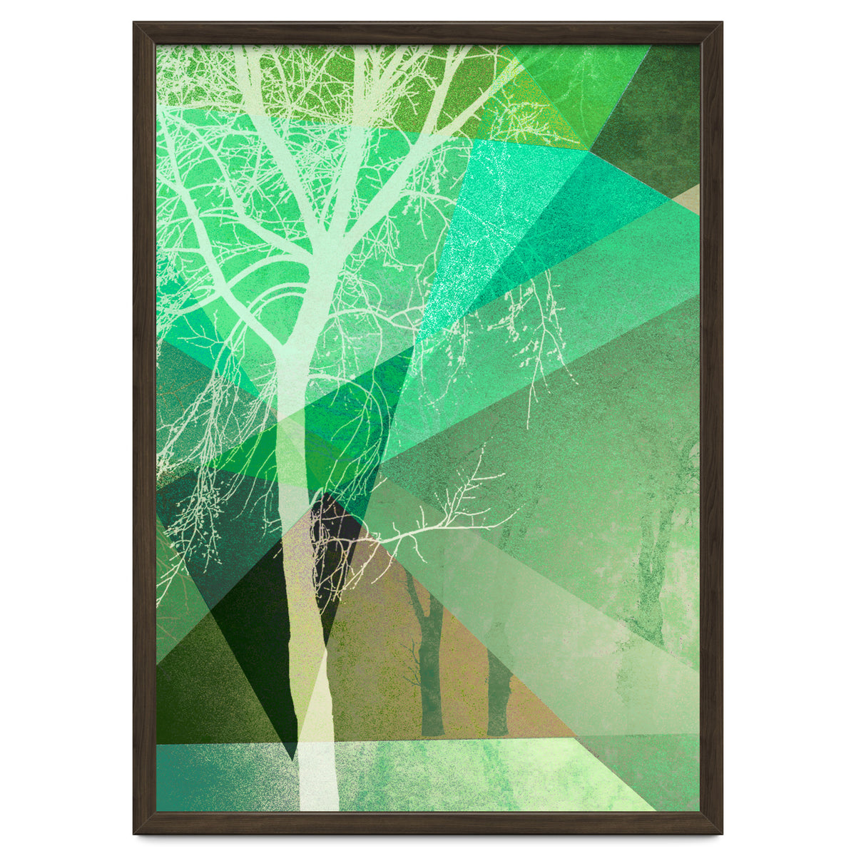 P22 B Trees And Triangles