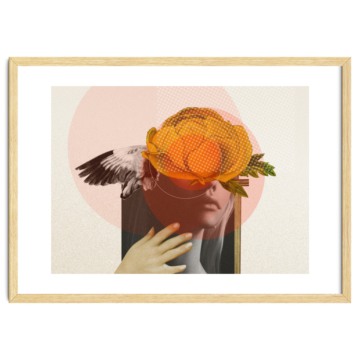 Dreamland Division · C