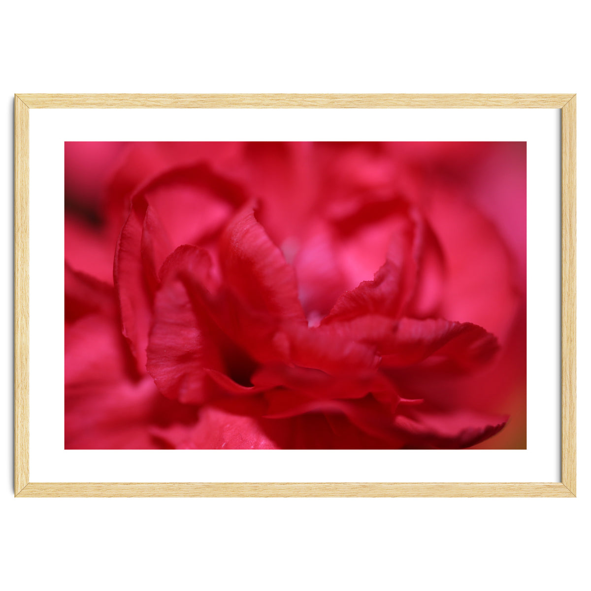 Red Peony