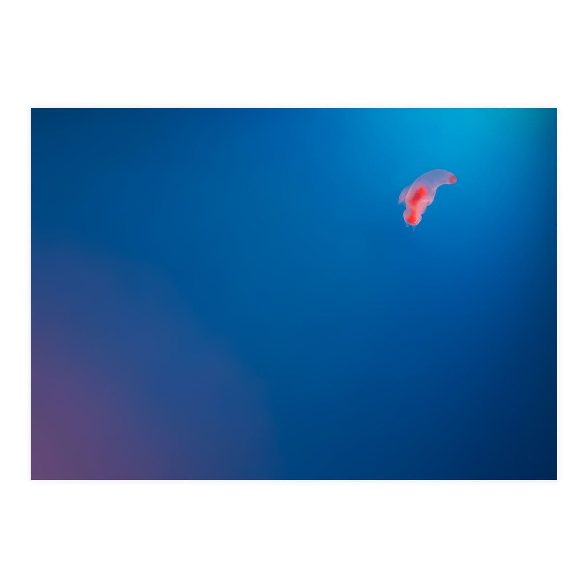 Absolute Zero (Print Only)