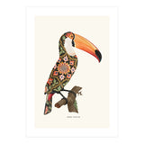 Boho Toucan (Print Only) thumbnail
