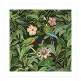 Exotic Jungle Birds (Print Only) thumbnail