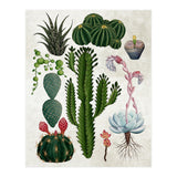botanical (Print Only) thumbnail