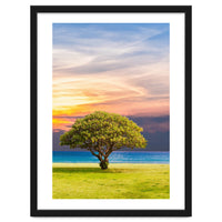 TREE with Great SKY