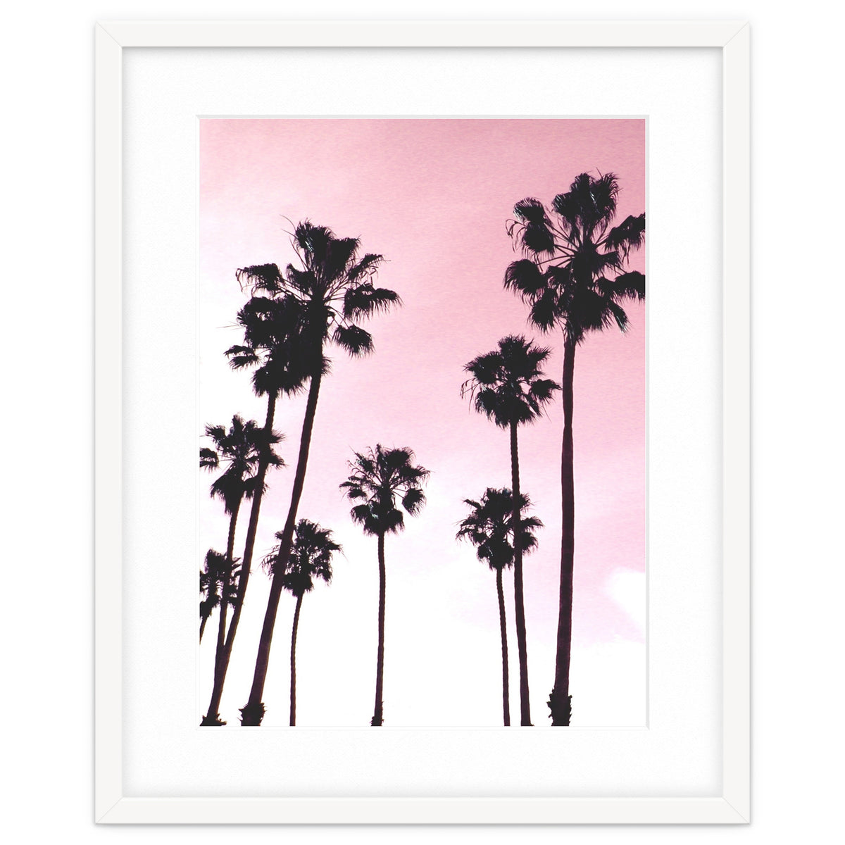 Palms & Sunset
