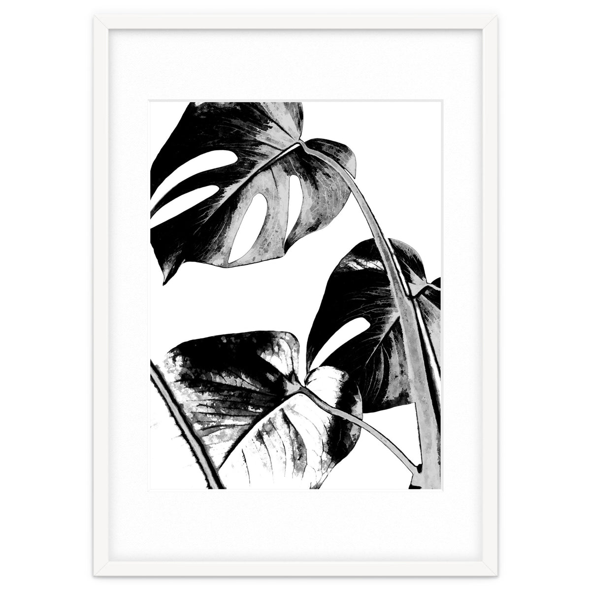 Black Tropical Leaves