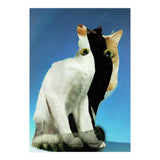 KatzenJammer 13 (Print Only) thumbnail