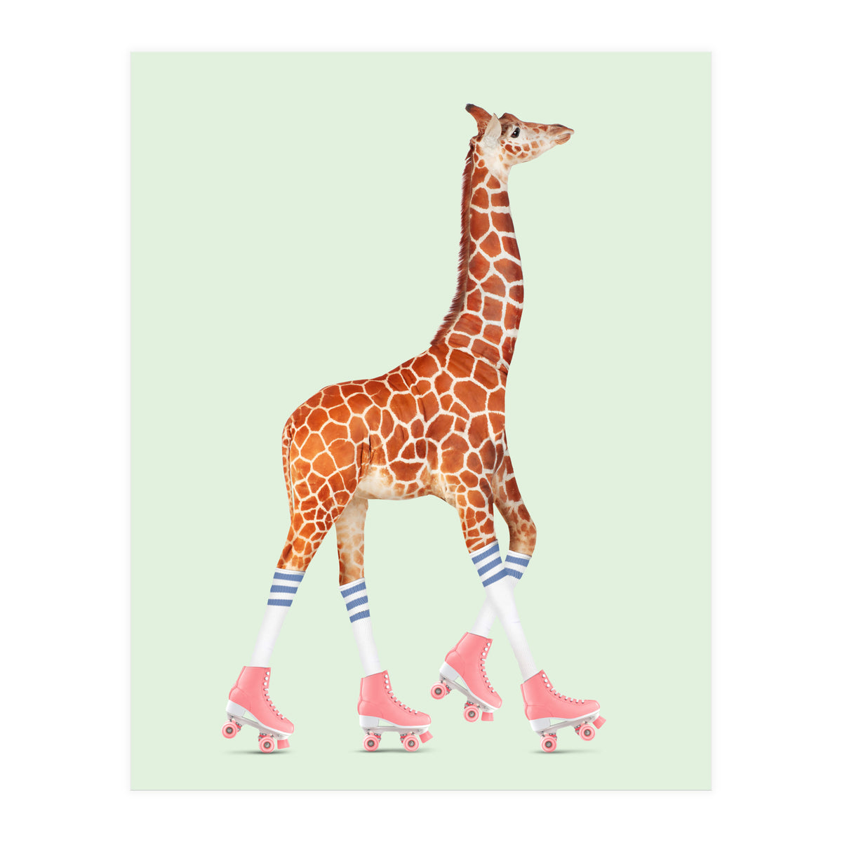 Rollerskating Giraffe (Print Only)