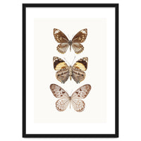 Cc Butterflies 06