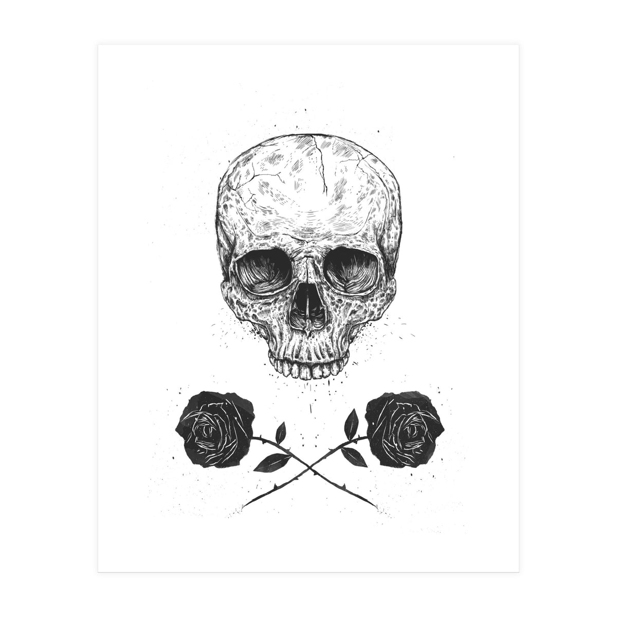 Skull N Roses (Print Only)