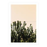 Cactus Vertical Color (Print Only) thumbnail