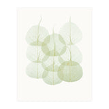 Cc Leaves 02 (Print Only) thumbnail