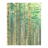 Locked In The Woods (Print Only) thumbnail