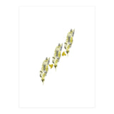 Golden Hearts (Print Only) thumbnail