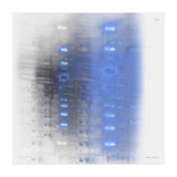 Her trip home. Six (Print Only) thumbnail