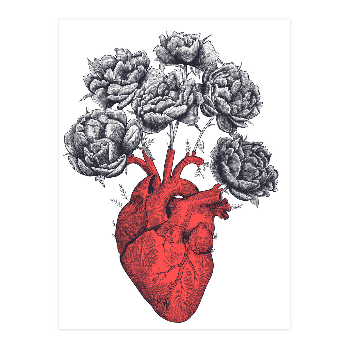 Heart With Peonies (Print Only)