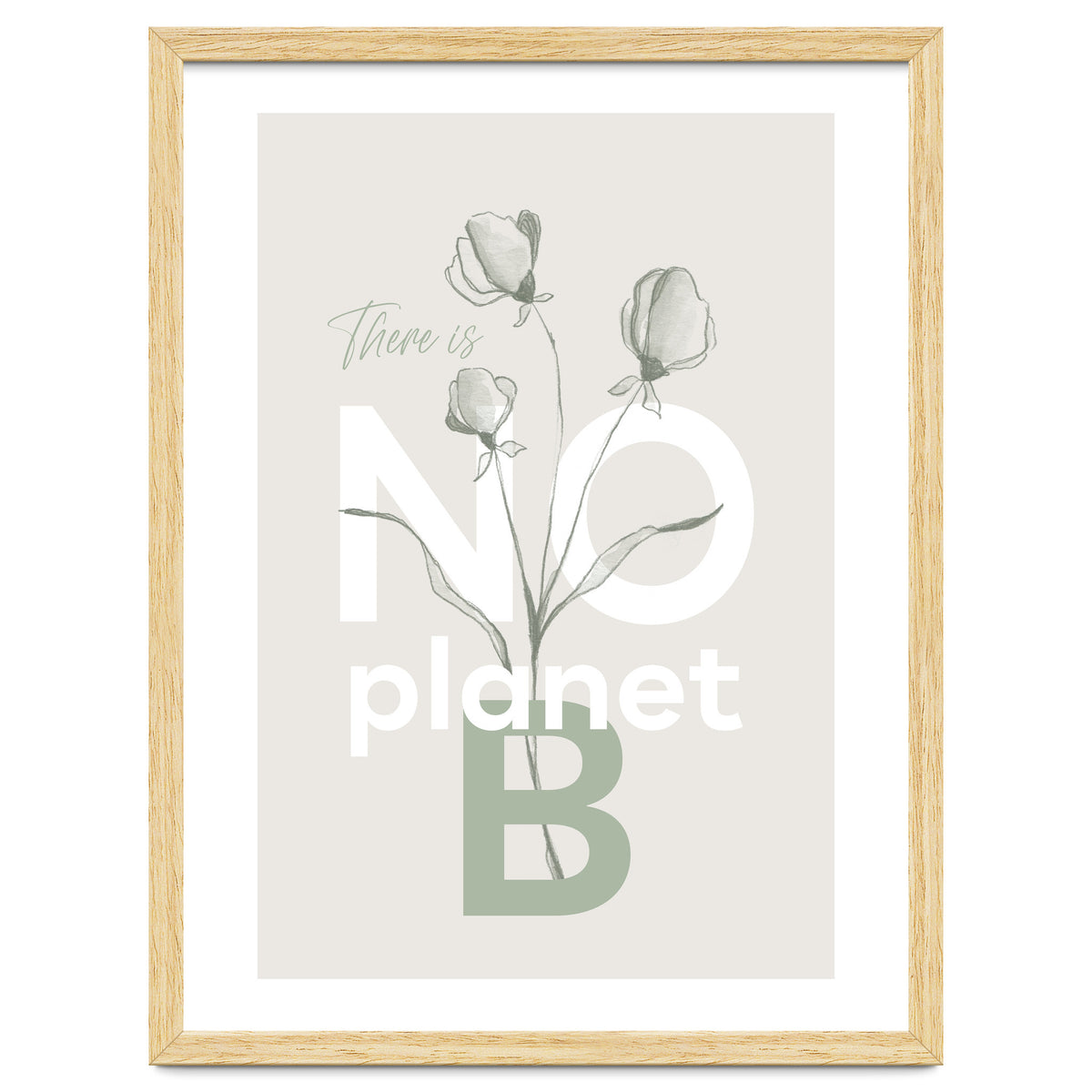 There is no planet B