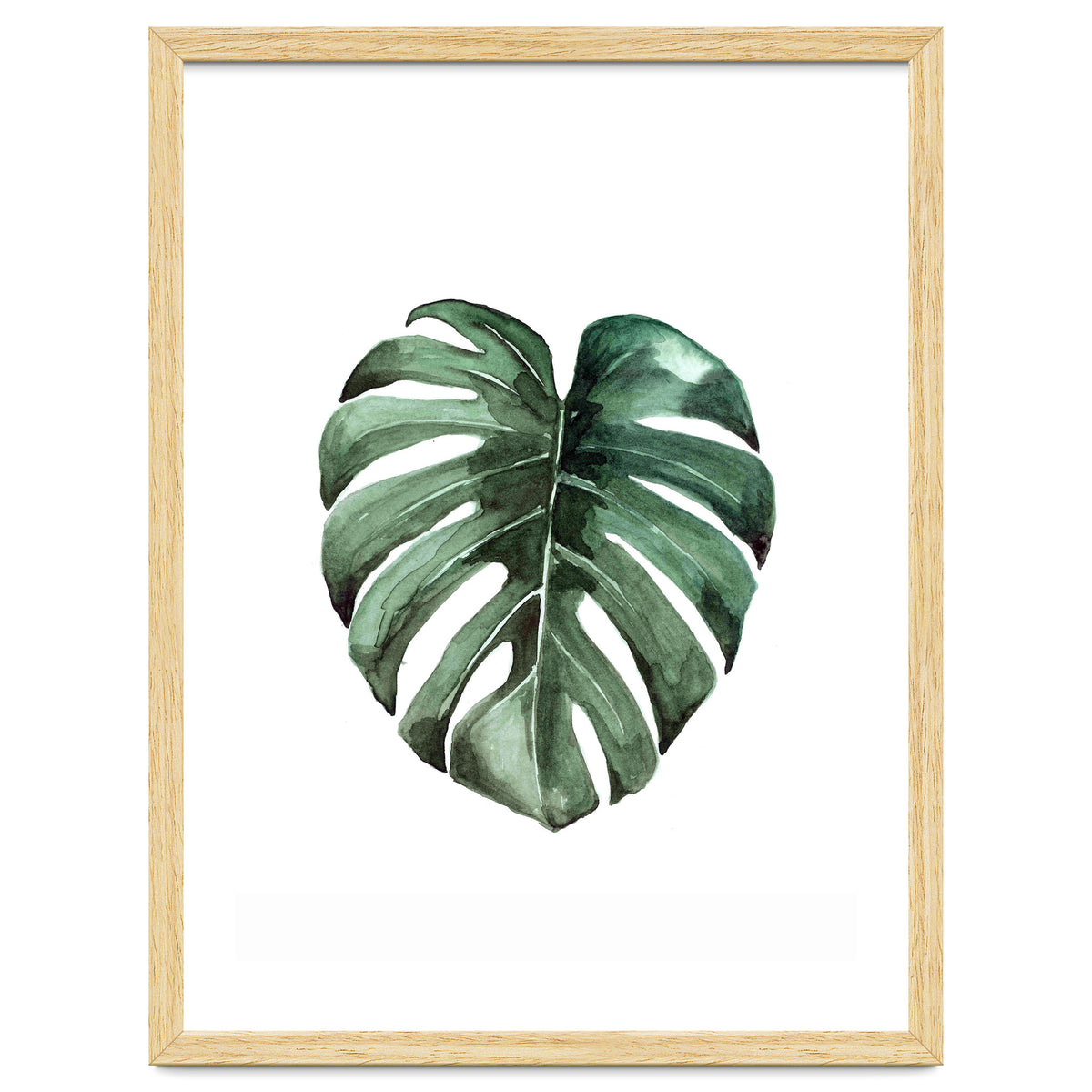 Botanical Illustration Monstera Deliciosa