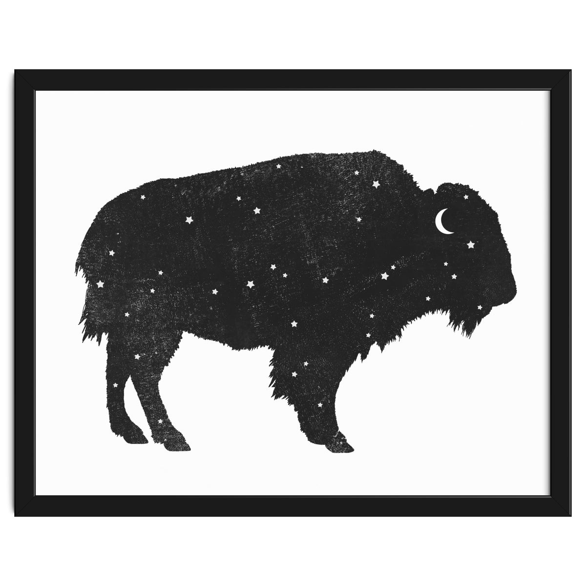 Mystic Buffalo