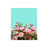 Blissful (Print Only) thumbnail