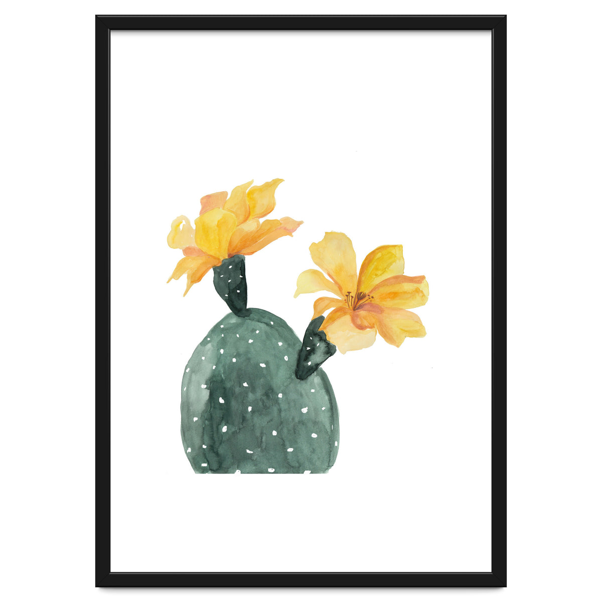 Botanical Illustration Yellow Cactus Flowers