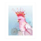 Major Mitchell's cockatoo (Print Only) thumbnail