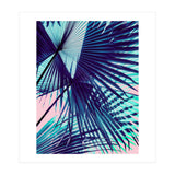 Palm leaf on the beach (Print Only) thumbnail
