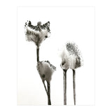 Flying Angels (Print Only) thumbnail
