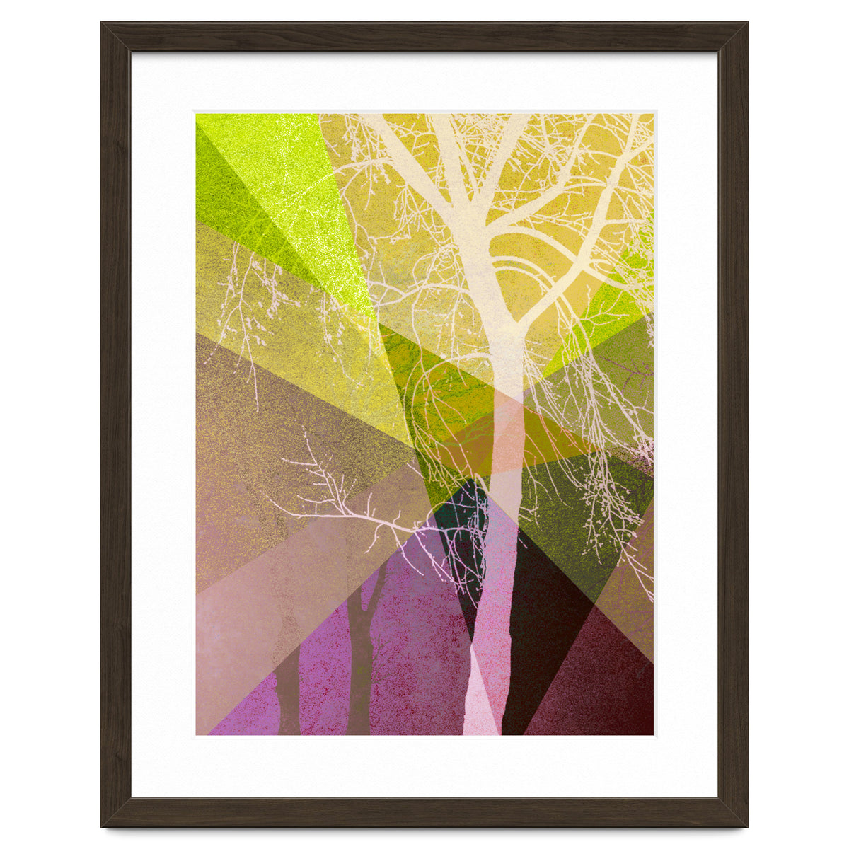 P22 A Trees And Triangles