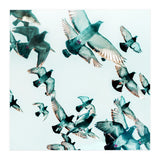 Rise (Print Only) thumbnail