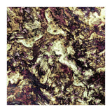 Surface Preparation (Print Only) thumbnail