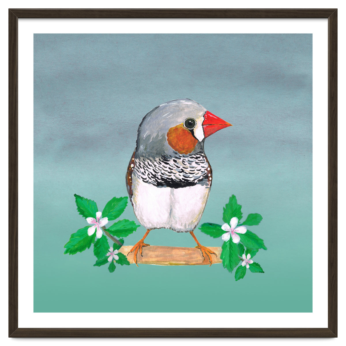 Zebra finch