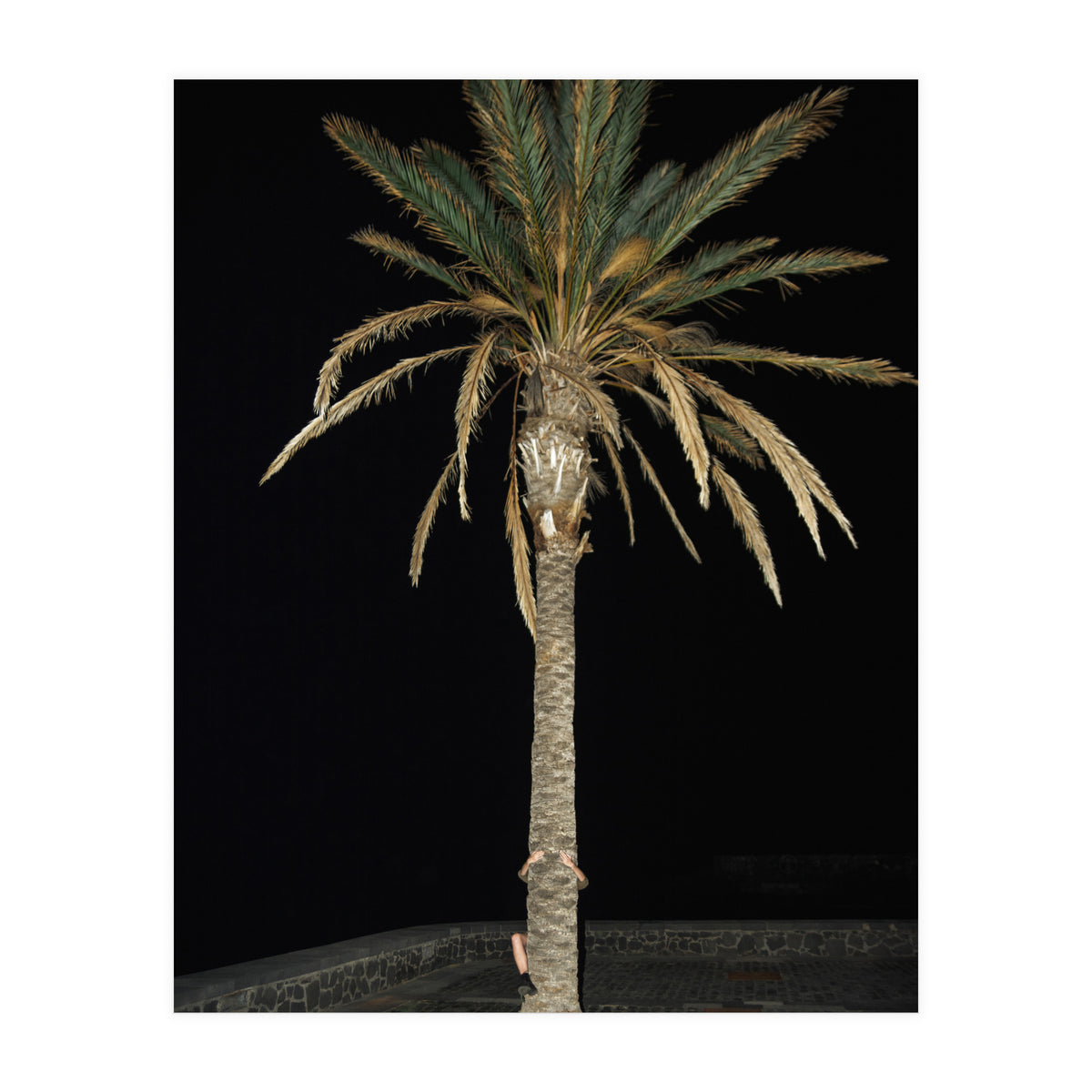 Facepalm (Print Only)