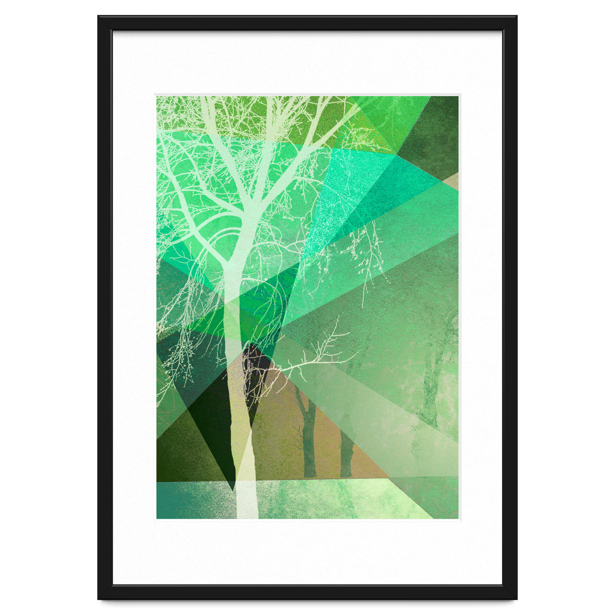 P22 B Trees And Triangles