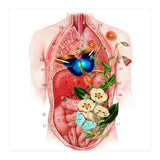 Butterflys In The Belly Makes Flower Grows (Print Only) thumbnail