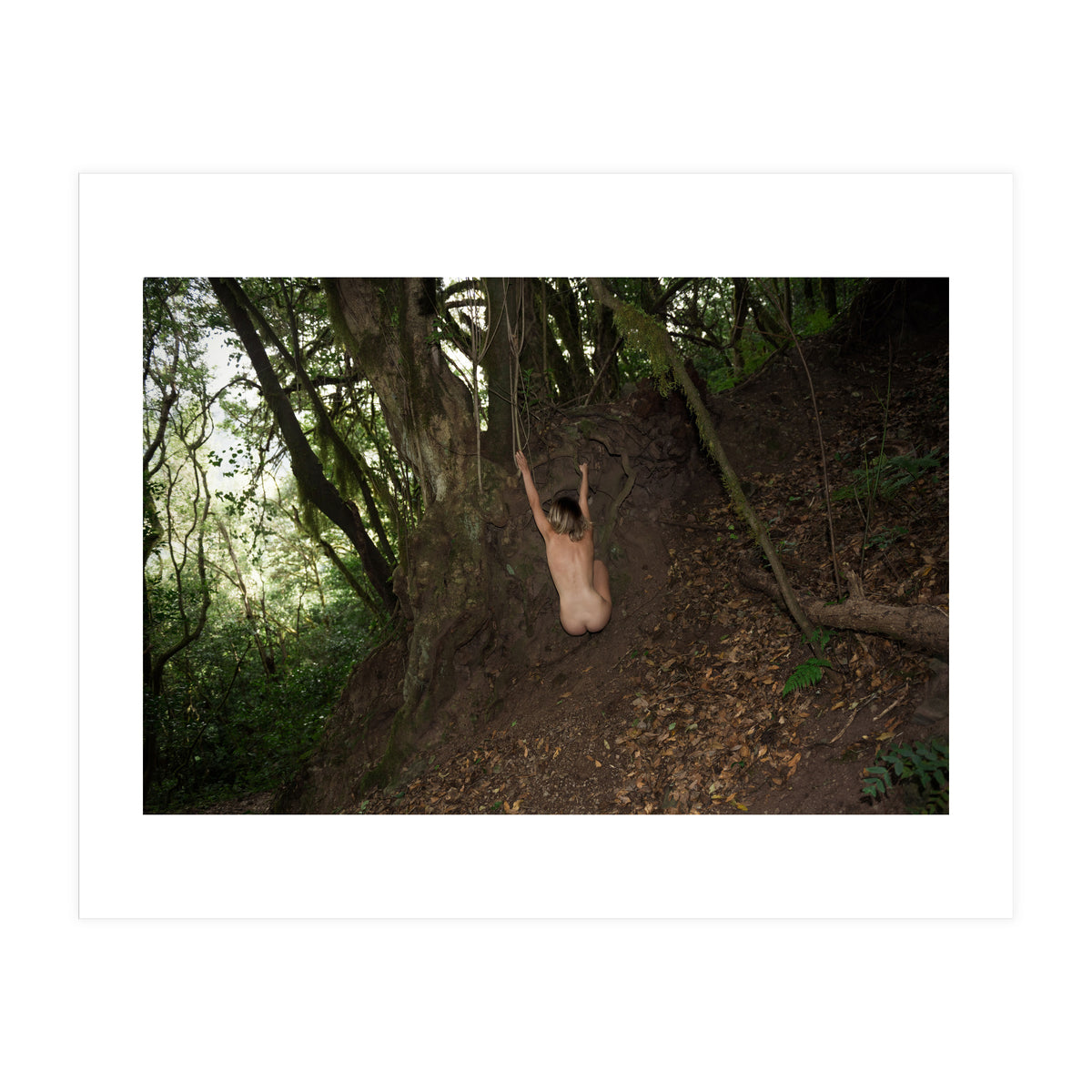 Tropical Monkeys (Print Only)