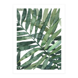 tropical 5 (Print Only) thumbnail