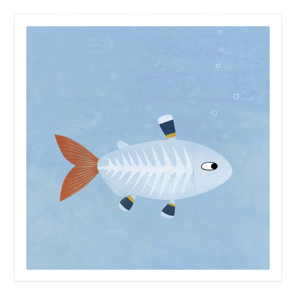 X Ray Tetra (Print Only)